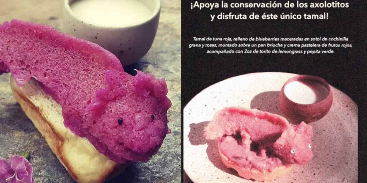 Tamal en forma de ajolote ¿Dónde puedo comprar el mío?