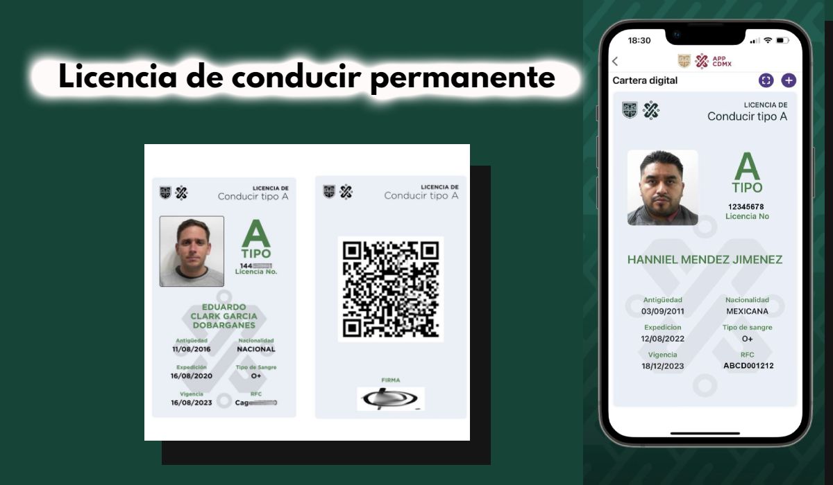 Ejemplo de la Licencia de conducir permanente