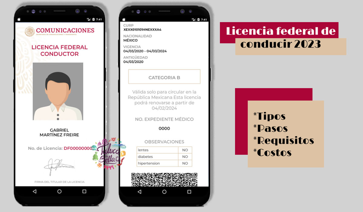 ¿Nuevo trabajo?, ¿sabes para qué sirve la licencia federal 2023? Checa los tipos, costos, requisitos y pasos para adquirirla. ¡Toma nota!