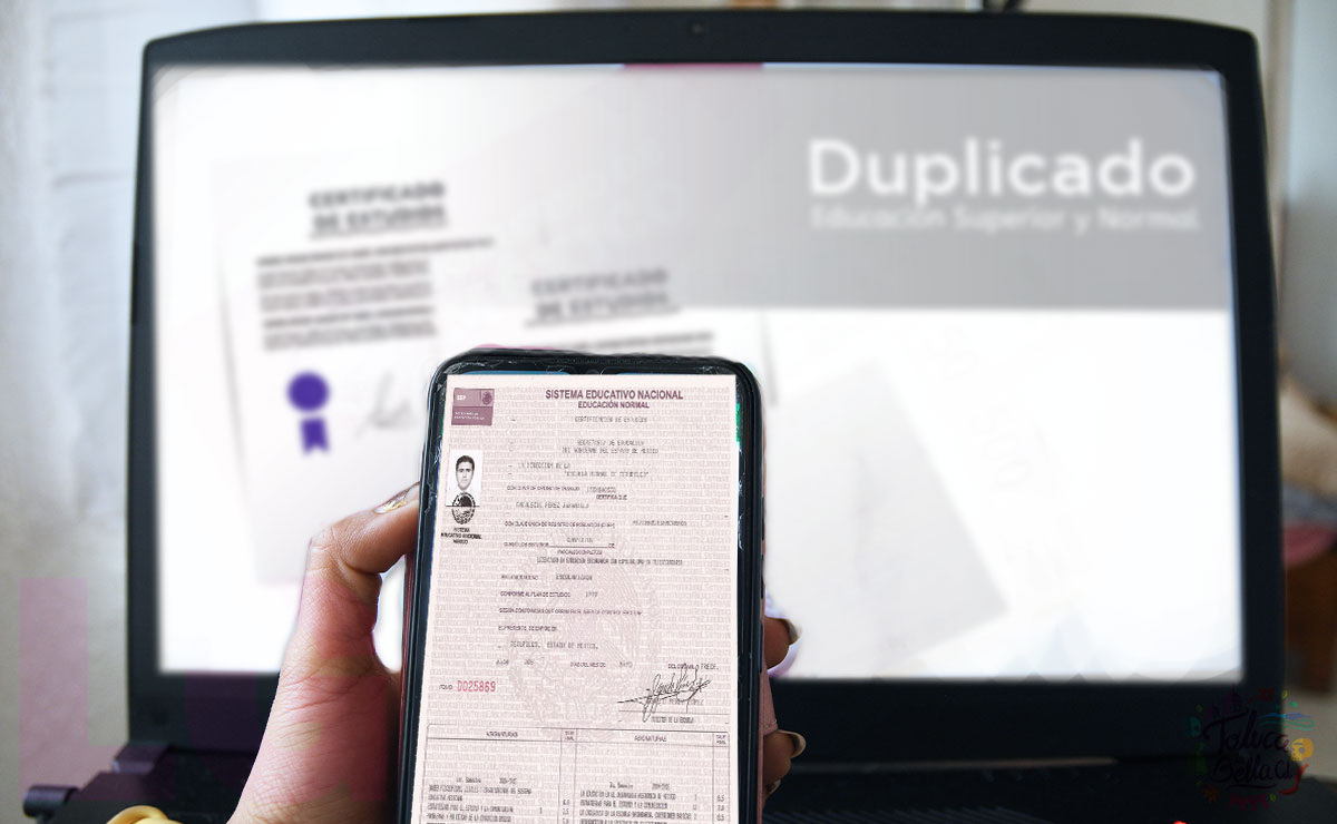 Certificado de primaria en el Edomex