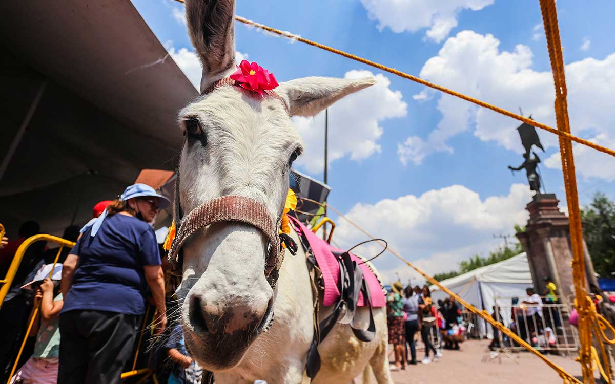 burrito en la feria de la feria del birro 2023 en otumba estado de mexico