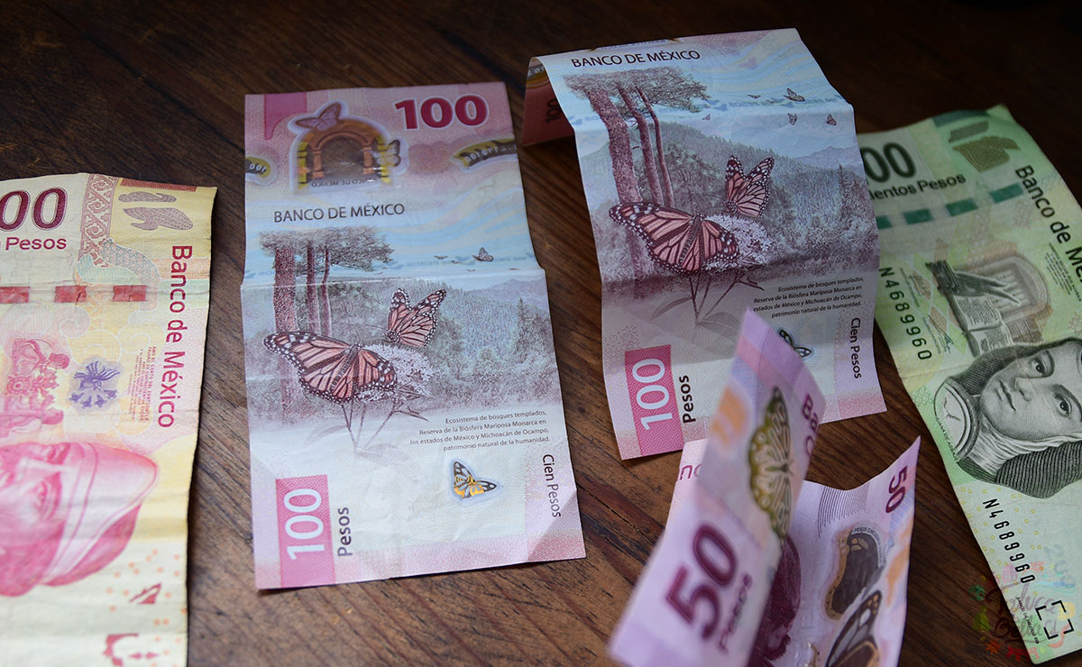 Seguro de desempleo en Edomex