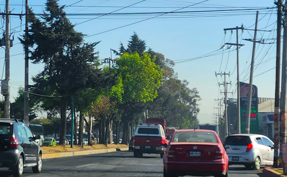 Vehículos en Toluca