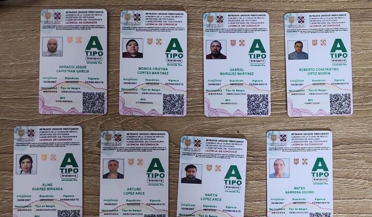 Ejemplos de las licencias de conducir permanentes 2023