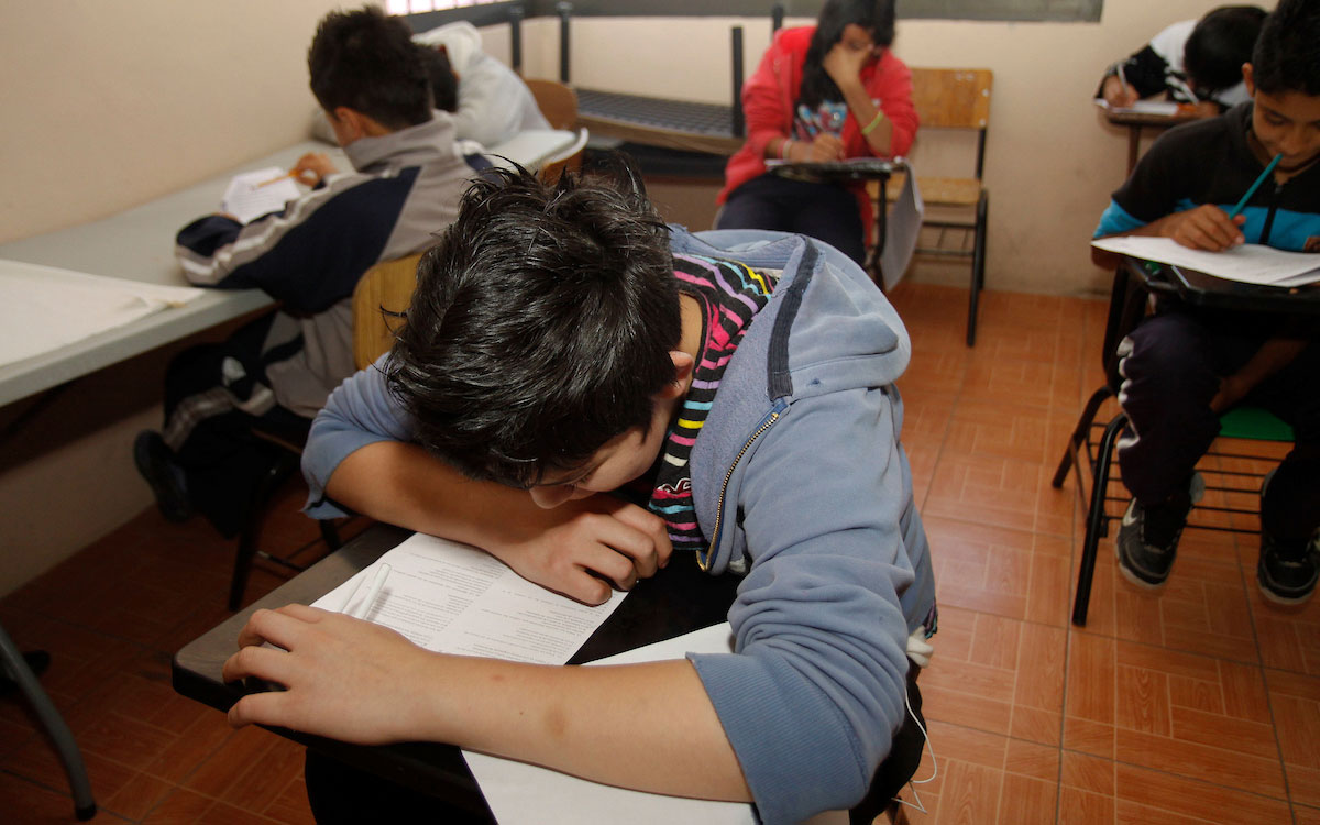 estudiante de primaria SEP