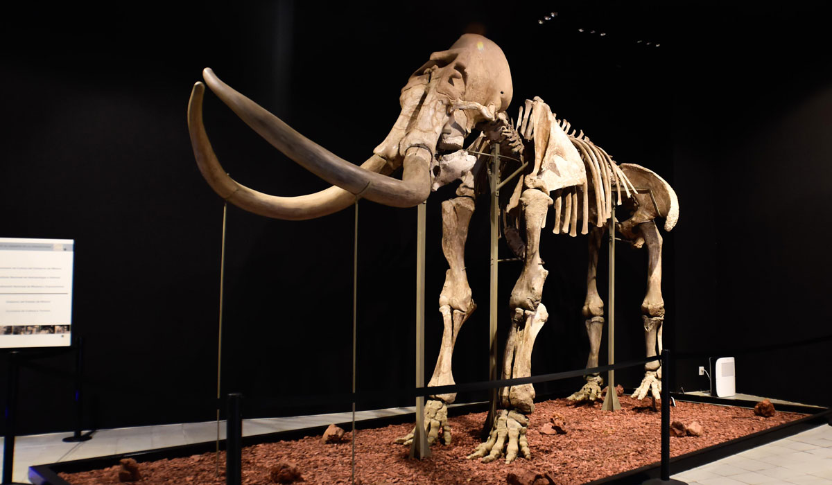 ¿No sabes a donde ir en estas vacaciones de Semana Santa 2023? Aquí te dejamos una lista 5 de lugares en el Edoméx que puedes visitar.