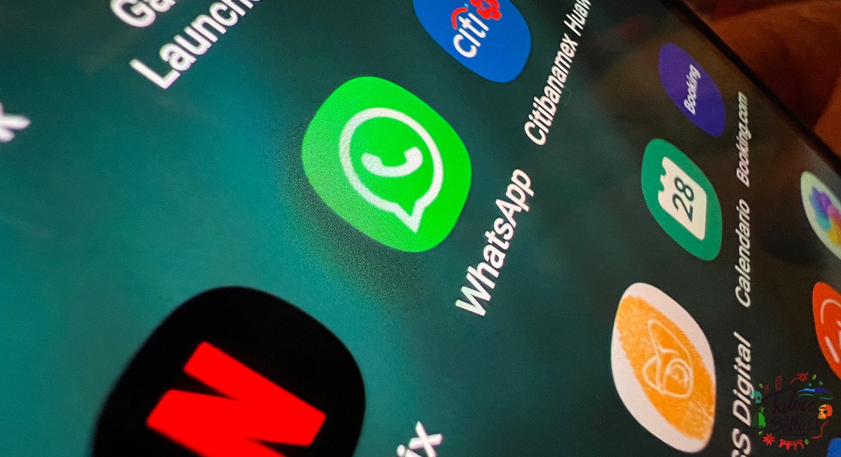 Nuevo inicio de sesión whatsapp