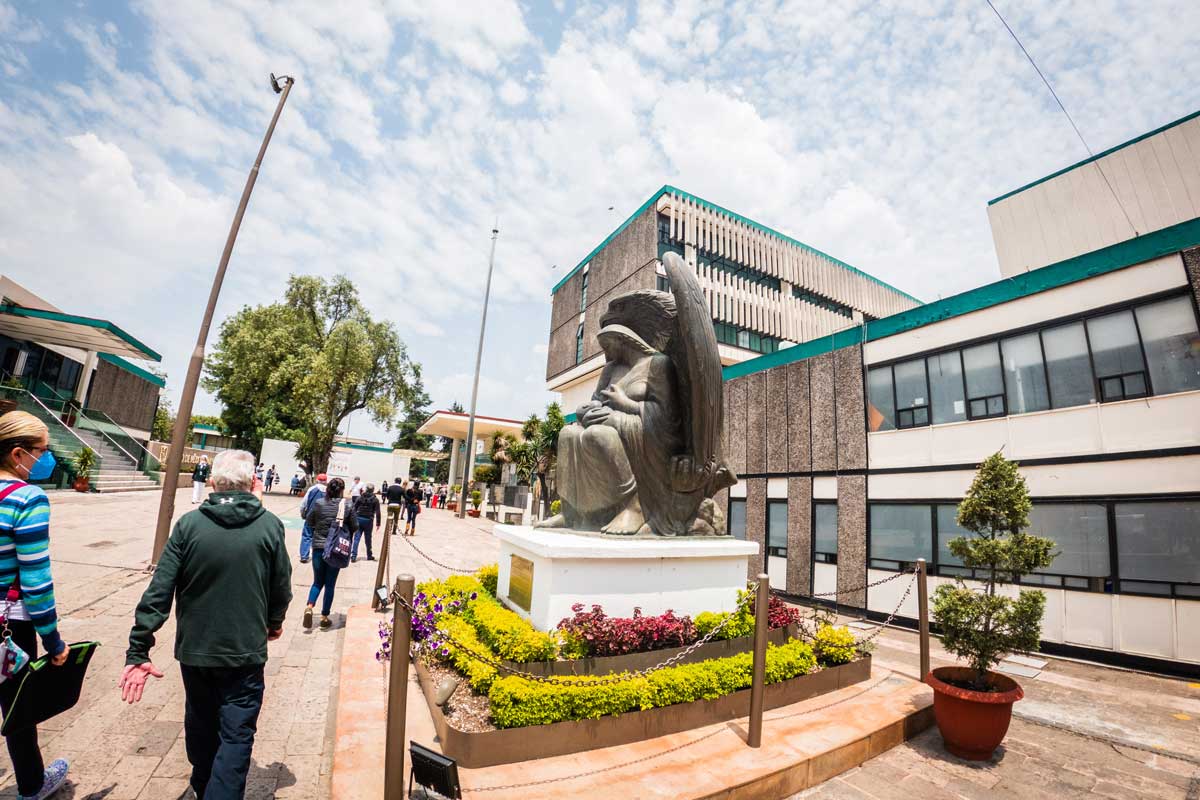 ¿Cómo tramitar tu Número de Seguro Social?