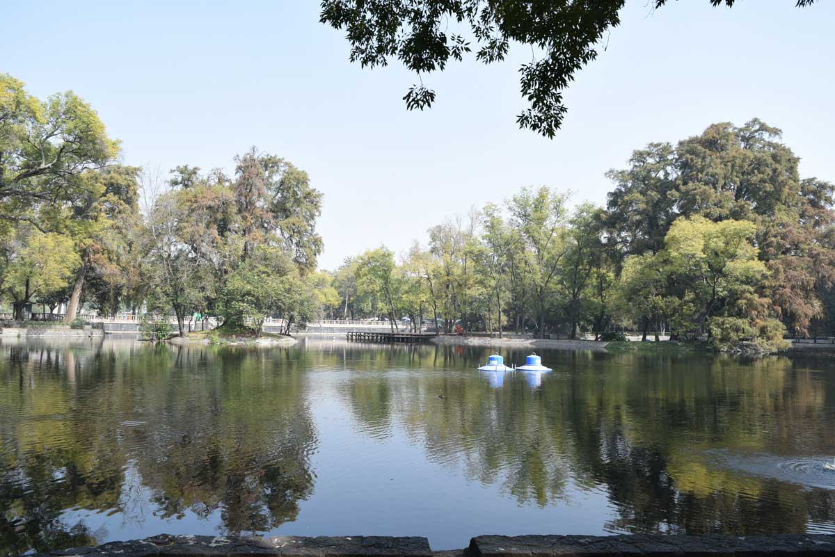 ¿Qué hacer en mayo en el Bosque de Chapultepec?