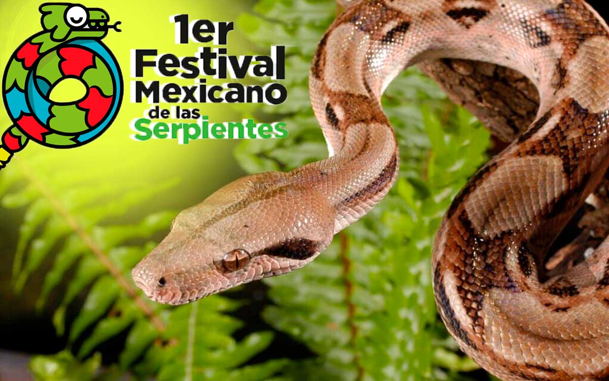 cartel del proximo festival de la serpiente toluca 2023