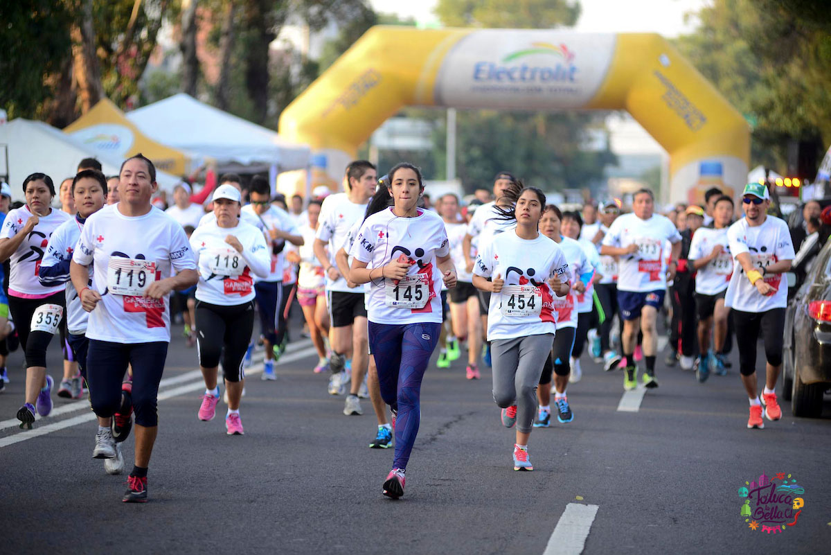 carrera pet friendly Metepec