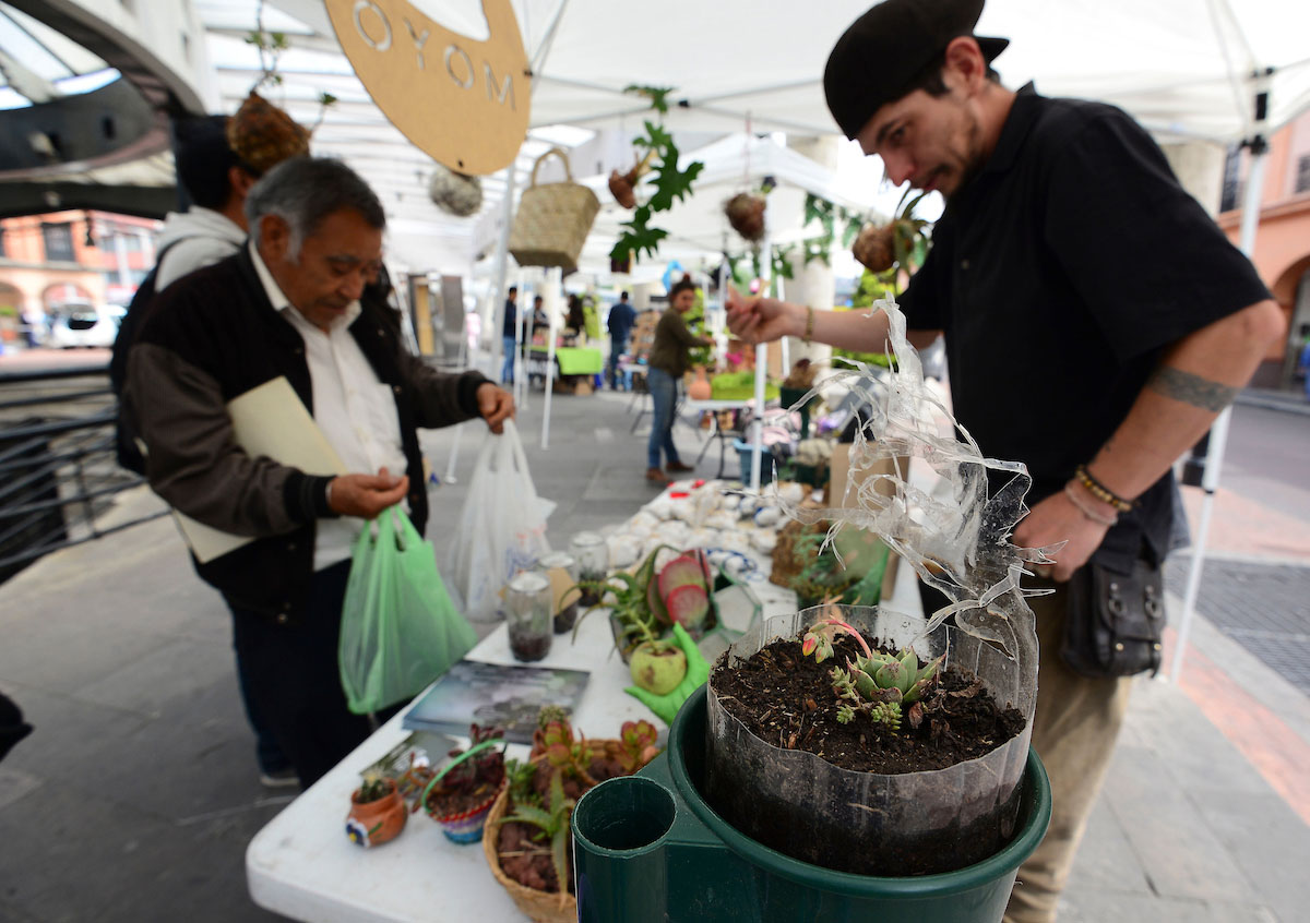 Metepec tendrá mega venta de productos orgánicos por el día del padre