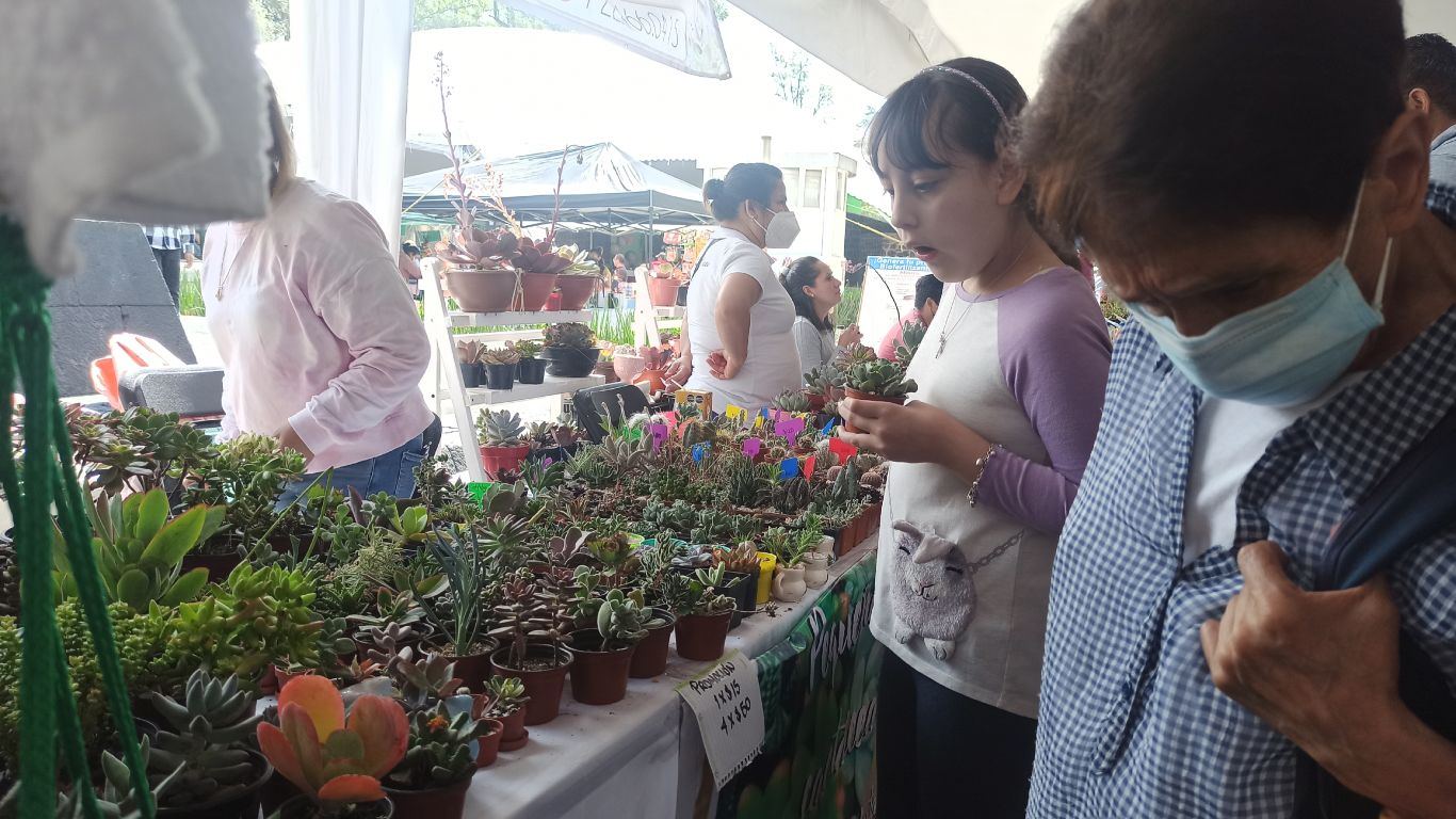 Lánzate al Festival Plantero Toluca 2023 ¡La entrada es gratuita!