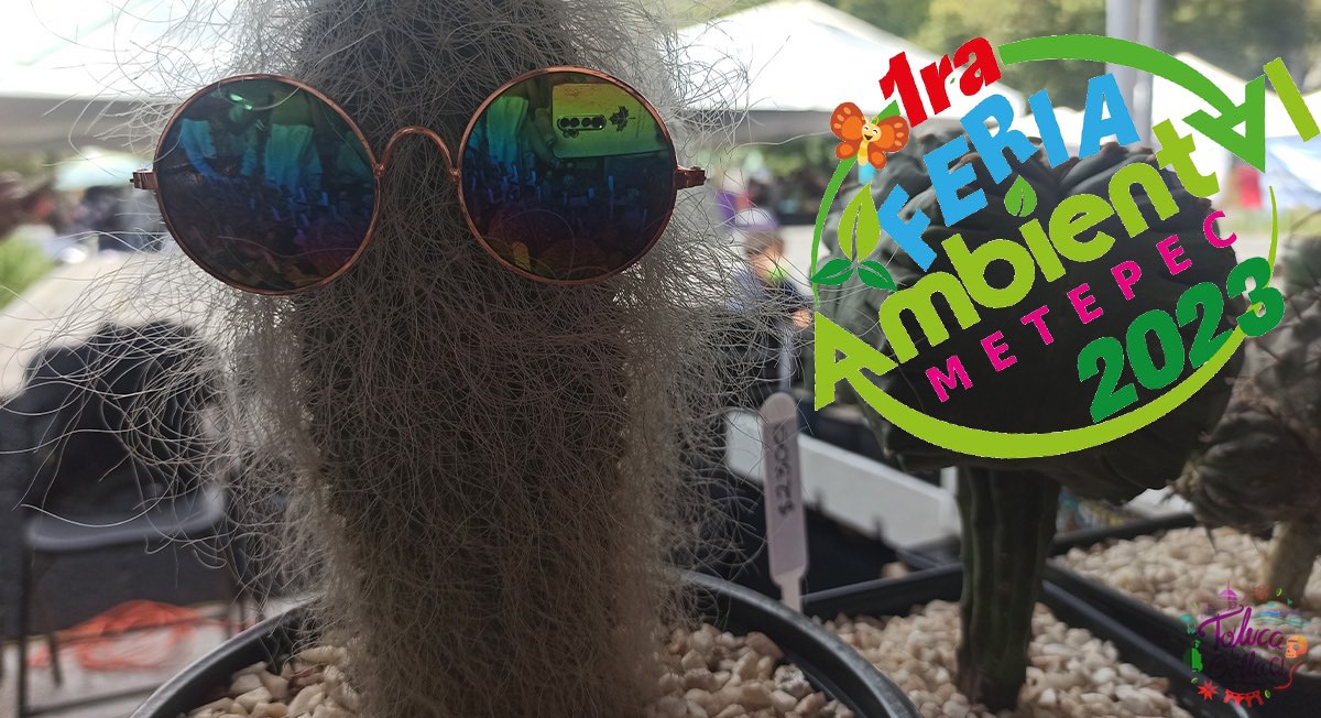 Feria Ambiental Metepec