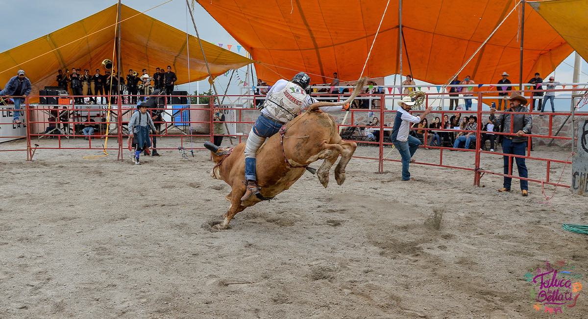 Jinete montando toro en jaripeo