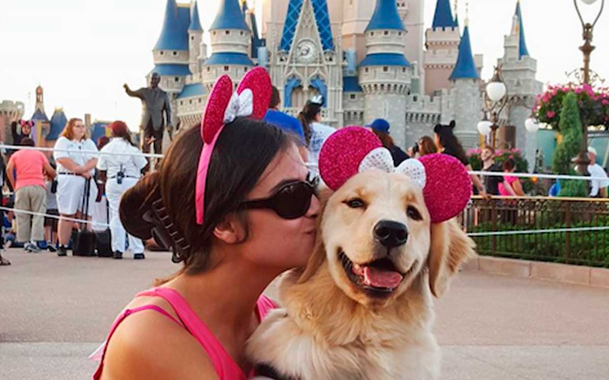 niñera para perros con limito en disney