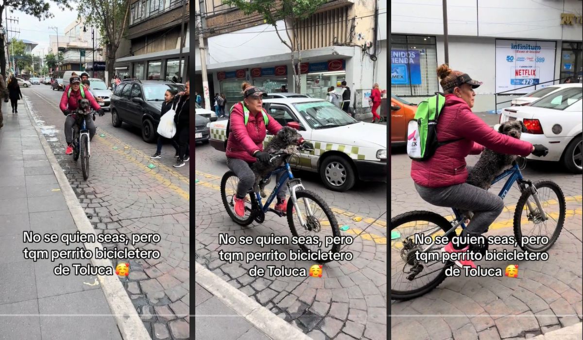Capturas de pantalla del perro ciclista Toluca