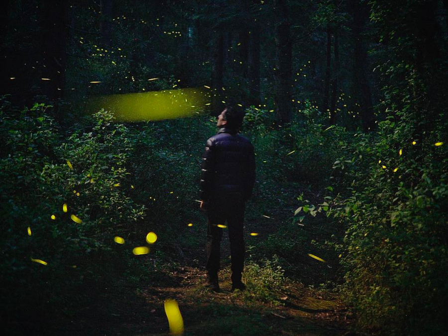 ¿Planeas ir? Checa los detalles que hay hasta el momento, sobre el Festival de las Luciérnagas Amecameca 2023, ¡no te lo puedes perder!