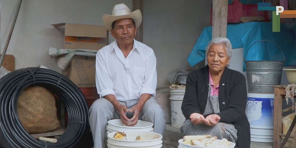 Calendario de pagos de las Pensiones Bienestar ¿Cuándo depositan?