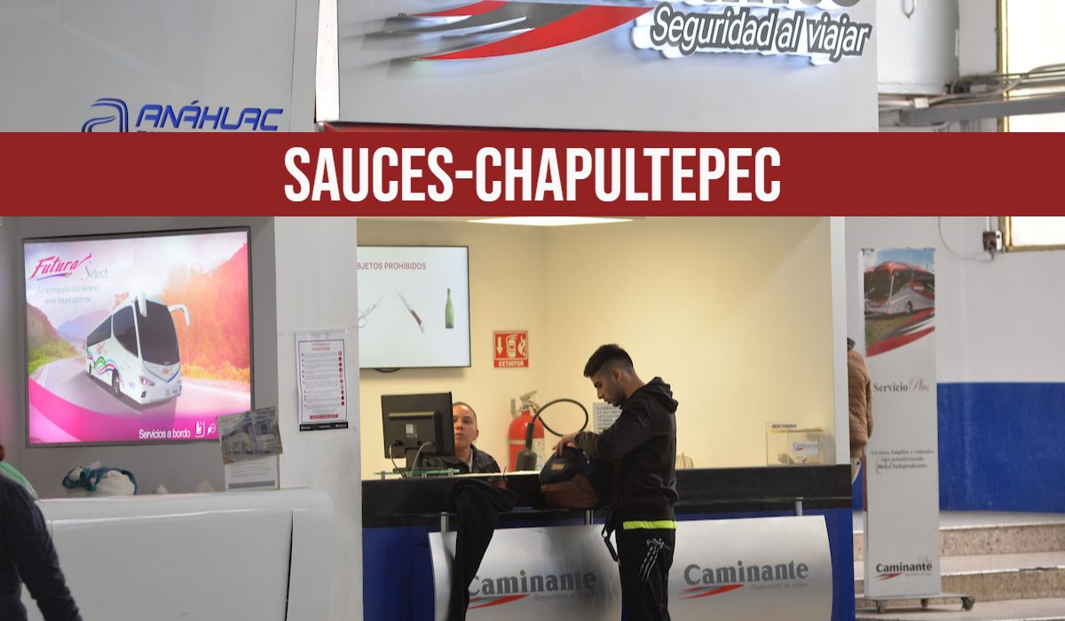 ¡Nueva ruta Sauces-Chapultepec! Costos, paradas y horarios 