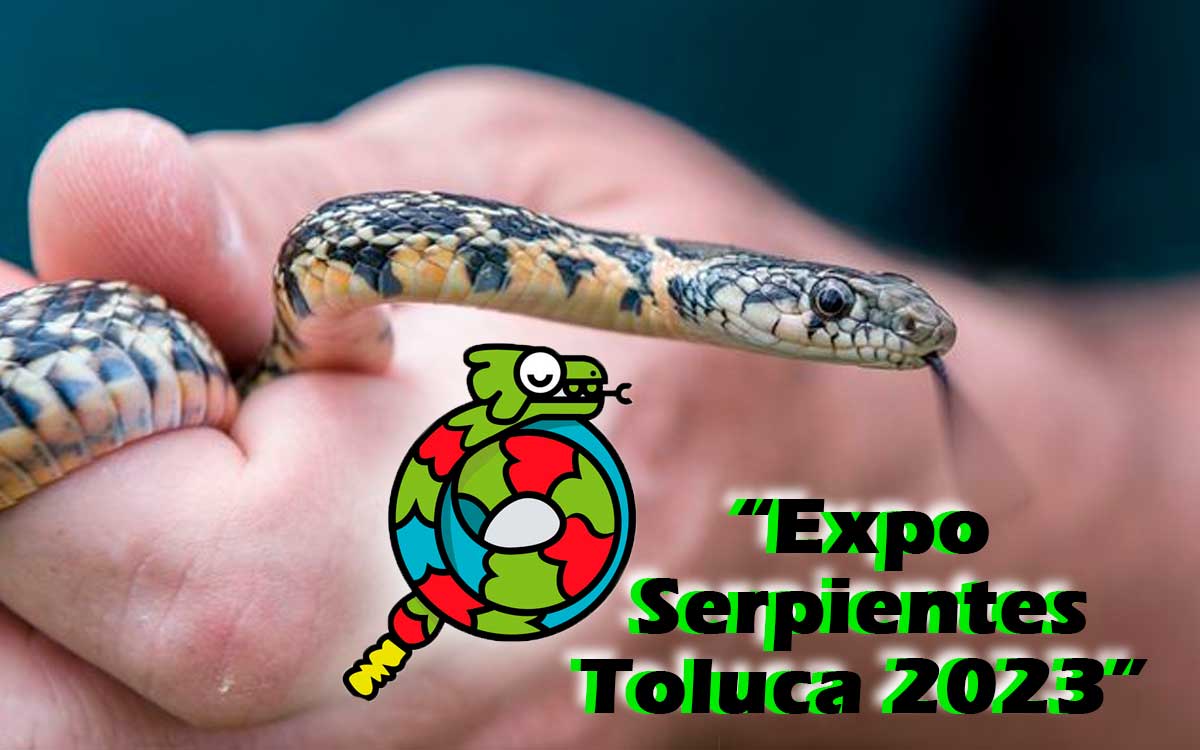 cartel oficial expo serpiente toluca 2023
