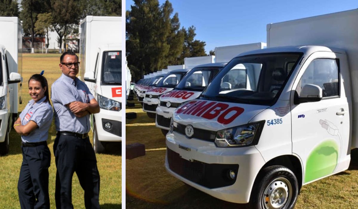 Composición de trabajadores de Bimbo Toluca