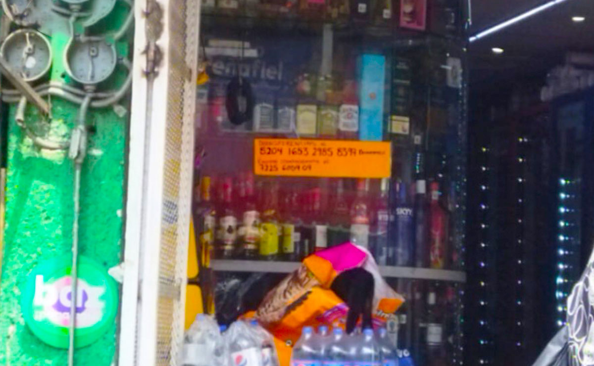 Michi robando comida en Toluca