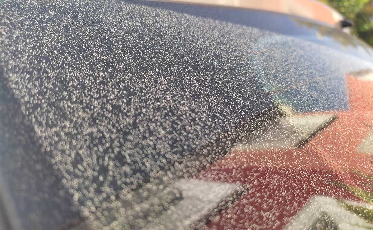 Ceniza en un carro de Toluca