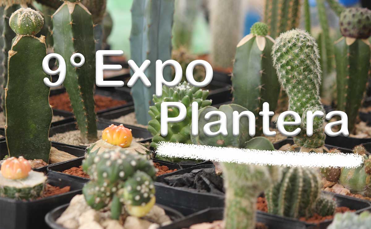 expo plantera 2023 plantas cactus suculentas