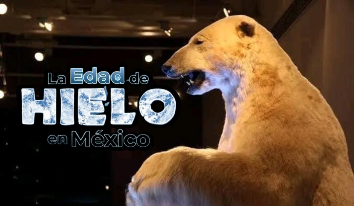 Composición del evento Edad de Hielo en Toluca