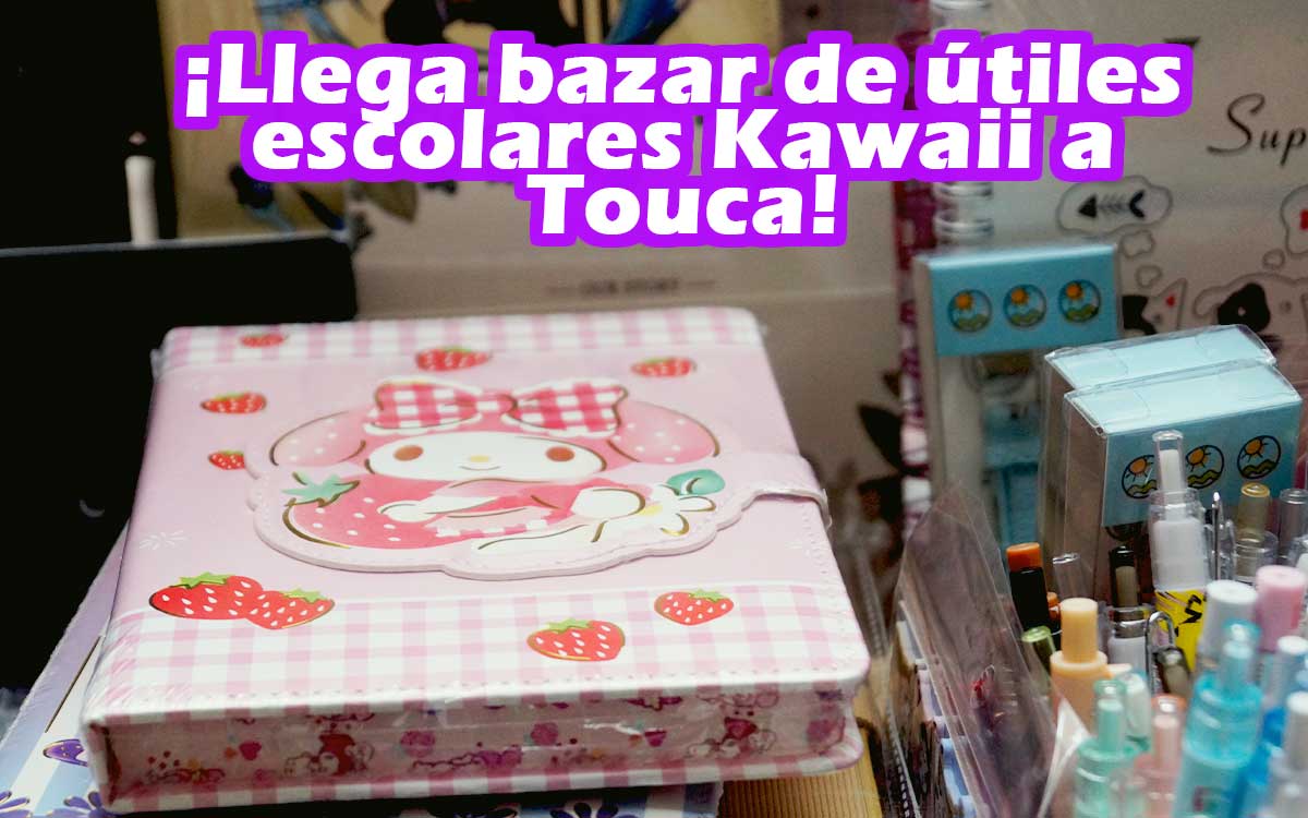 papeleria y utiles escolares kawaii en toluca