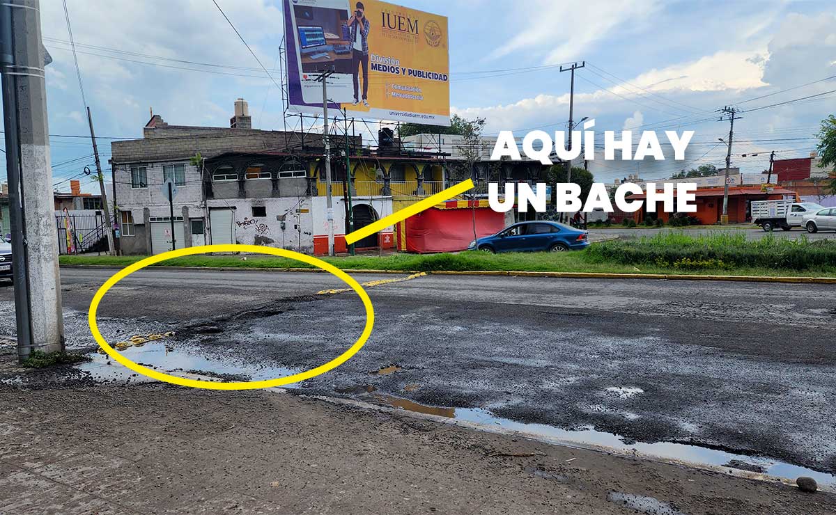 Bache en Toluca