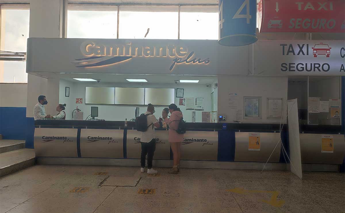 Terminal caminante de Toluca
