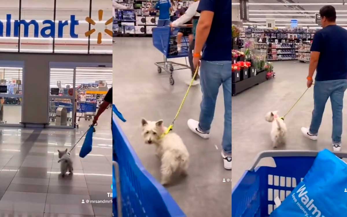 mascota paseando en walmart con rprograma pet friendly