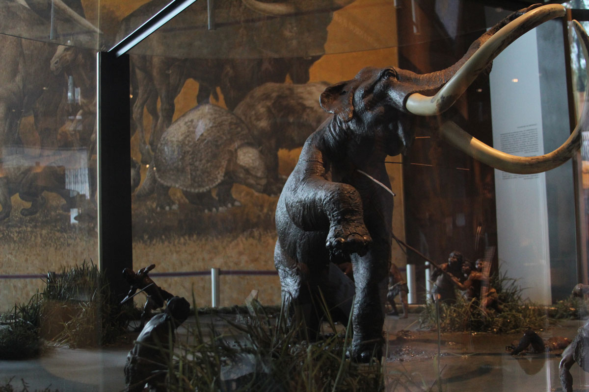 Museos gratuitos CDMX