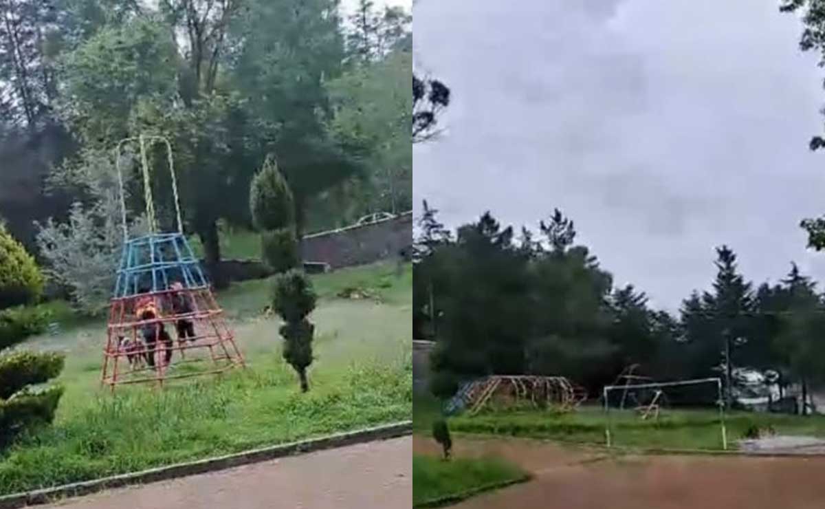 Perritos jugando en un área infantil de Toluca