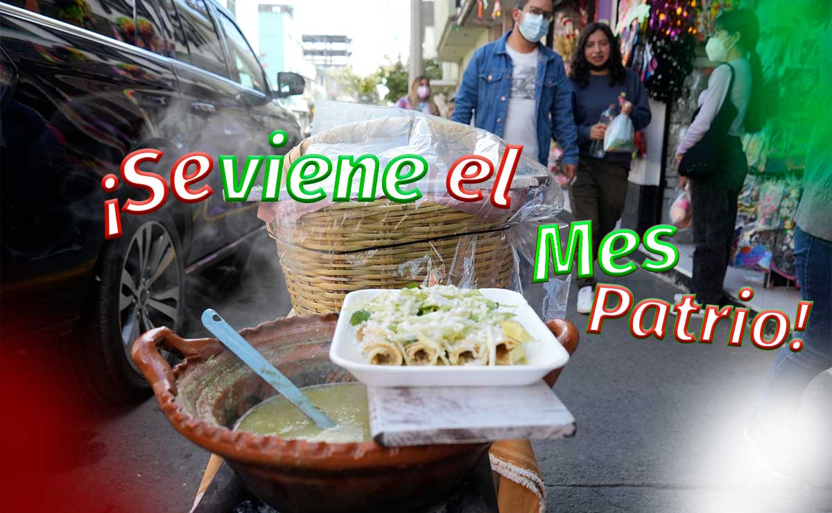 comida típica de México enchiladas en toluca