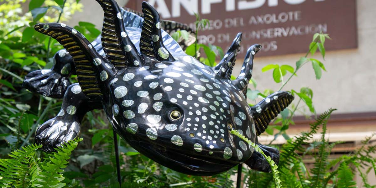 Visita las esculturas de ajolotes que se encuentran en la CDMX