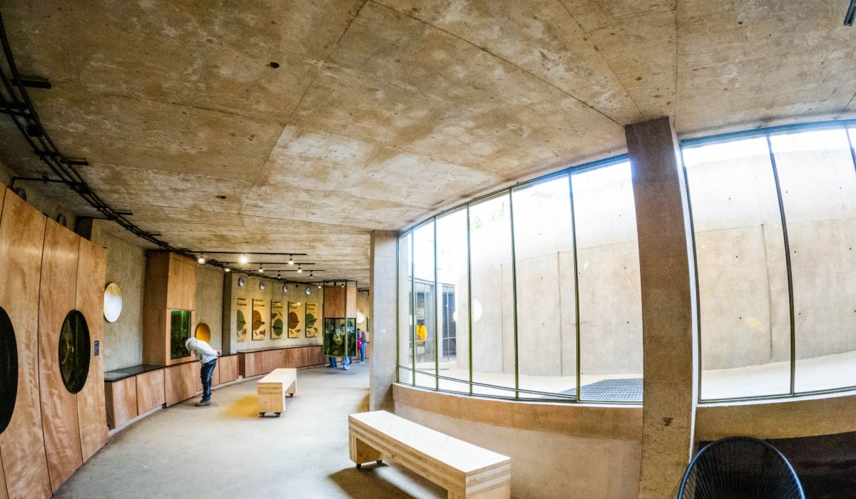 Interior del ajolotario de Toluca