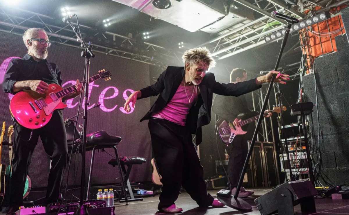 Elefantes en el escenario