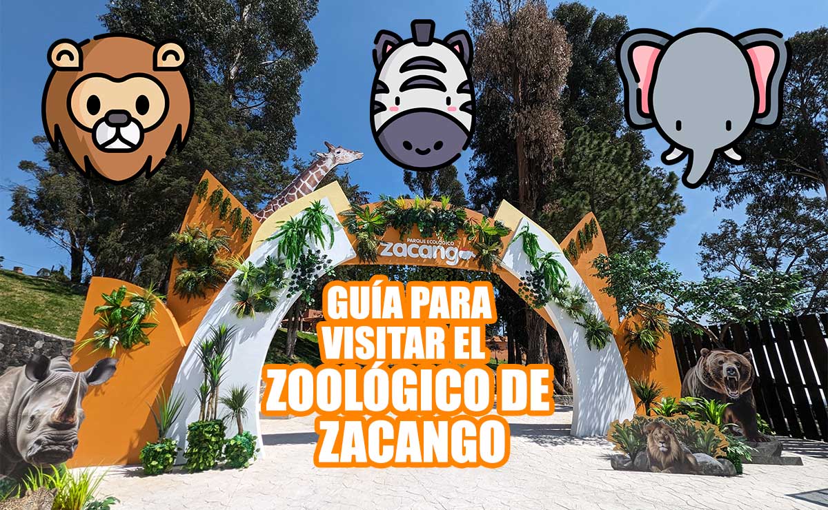 Zoológico de Zacango guía para visitarlo