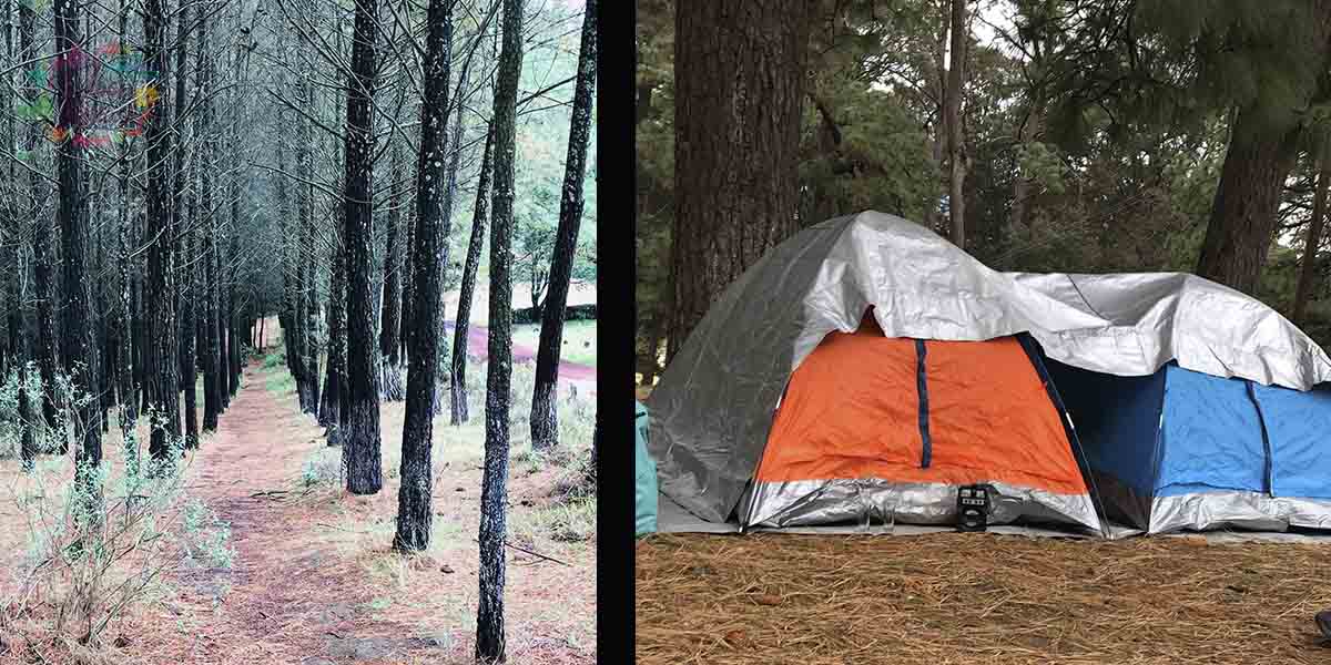 Conoce el campamento del terror Edomex 2023 en el Ocotal