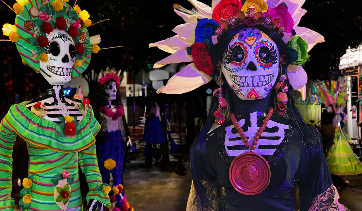 Primer Festival Vela Nueva 2023 para este domingo 29 de octubre,