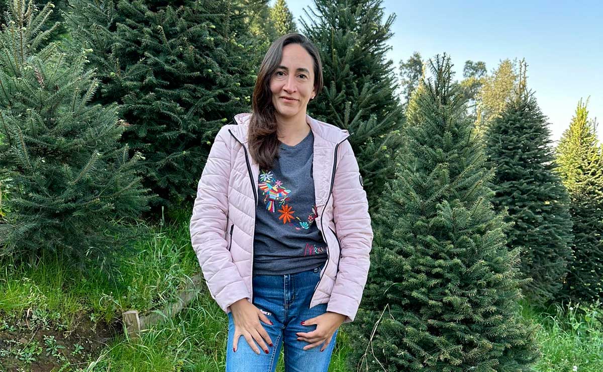 Lugar para comprar tu árbol de navidad en el Edomex