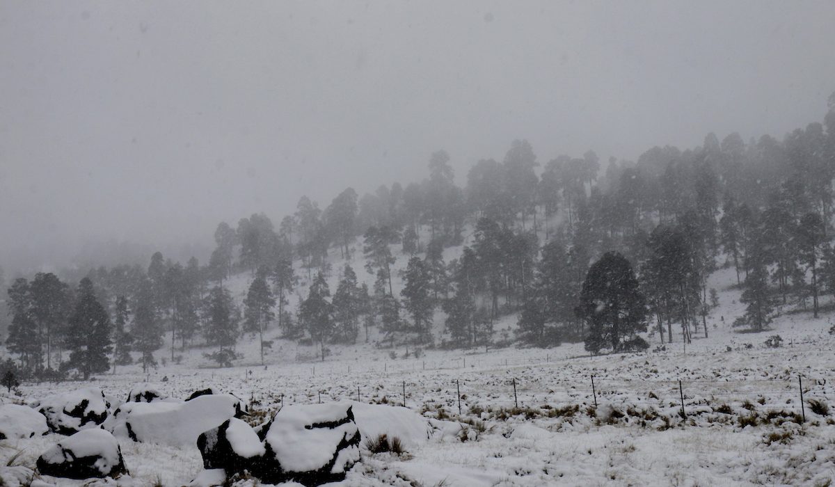 Nieve en Toluca: ¿Cuántas veces ha nevado en la capital mexiquense?