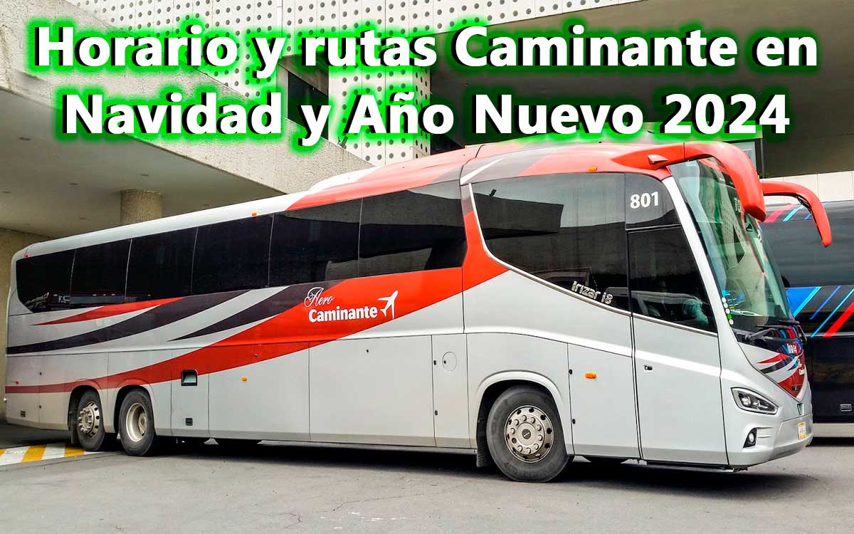 horario y rutas oficiales de navidad en transporte caminante
