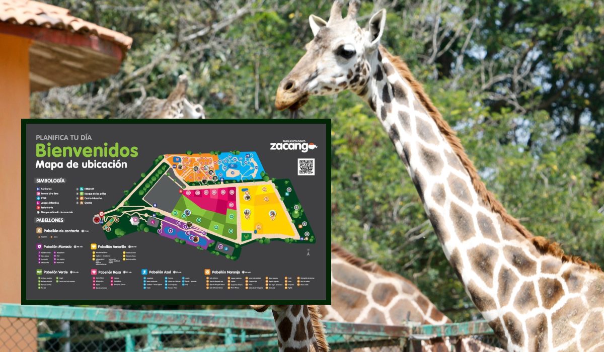 Mapa del zoológico de Zacango en PDF para descargar