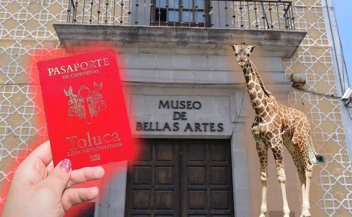 Qué hacer en Toluca: Museos, cafeterías y zoológico