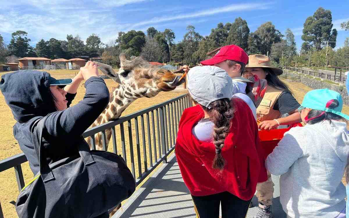 cual es el horario para visitar el zoologico de zacango 2024