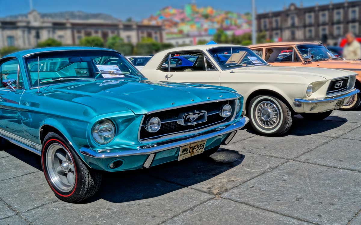 anuncian expo mustang en toluca para antes de terminar febrero